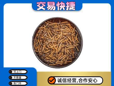 梅州大埔县回收散虫草